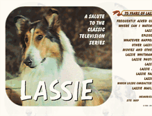 Tablet Screenshot of lassieweb.org